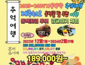 가성비최고 제주여행 3박4일 베스트5