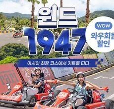 가성비 끝판왕 제주올패스 Top5