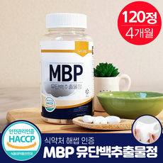 이게 가성비다 뼈엔 MBP Best5