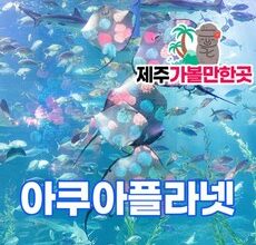 가성비최고  제주스냅 적극추천