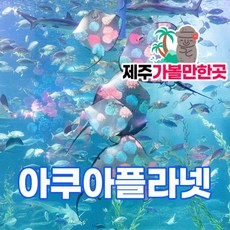 가성비최고  제주스냅 적극추천