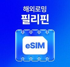 가성비 끝판왕 esim 후기