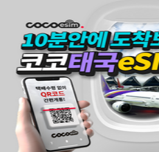 알뜰 쇼핑족 주목중 태국유심 가성비 상품