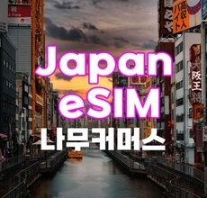 이달의 추천상품  esim일본 Best5